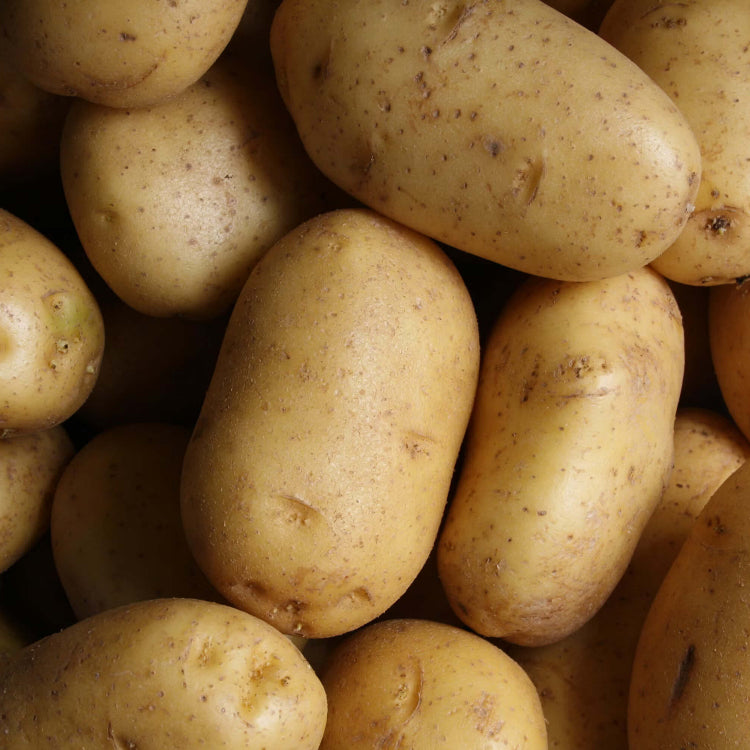 Yellow Potato Seeds