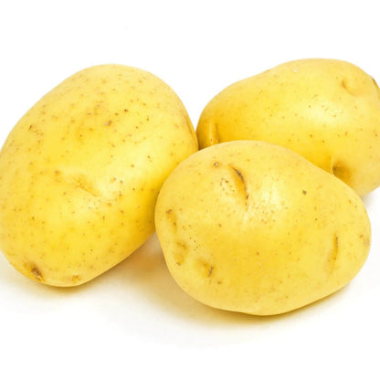 Yellow Potato Seeds