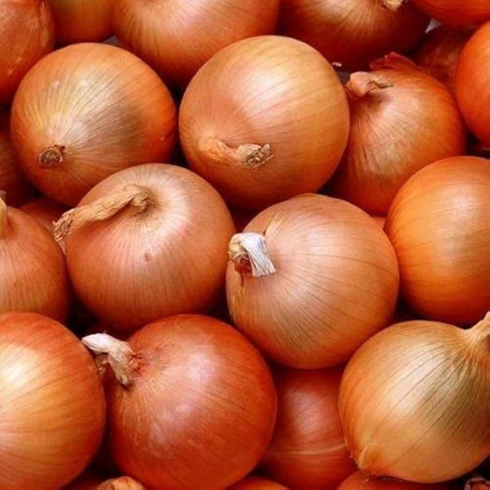 Yellow Sweet Spanish onion seeds - Vegetable Plant