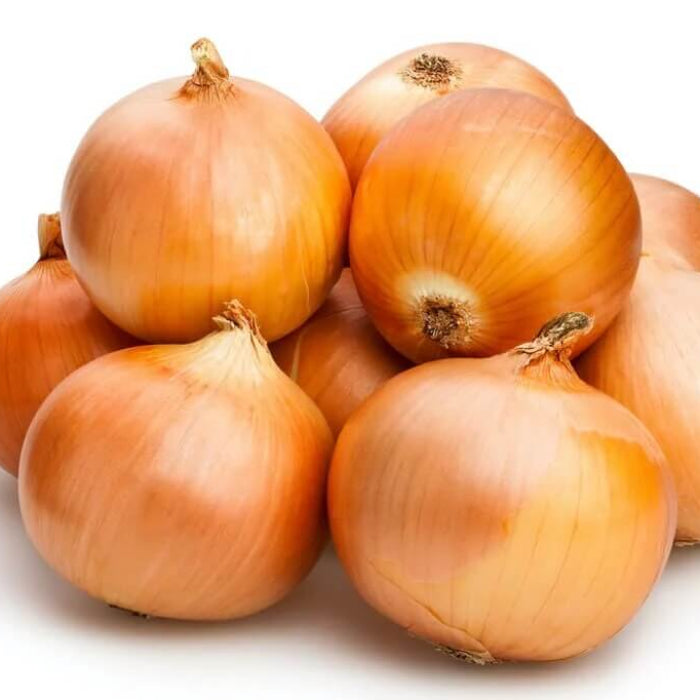 Yellow Sweet Spanish onion seeds - Vegetable Plant