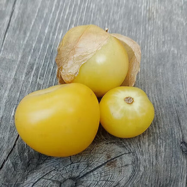 Yellow Tomatillo Seeds 