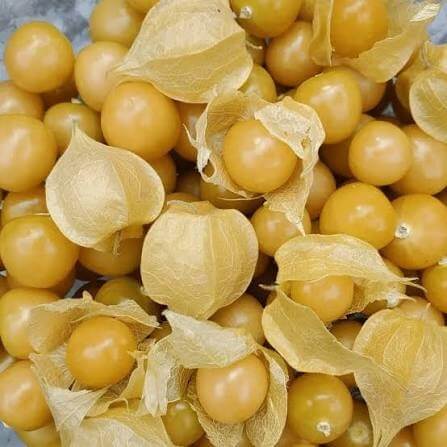Yellow Tomatillo Seeds 