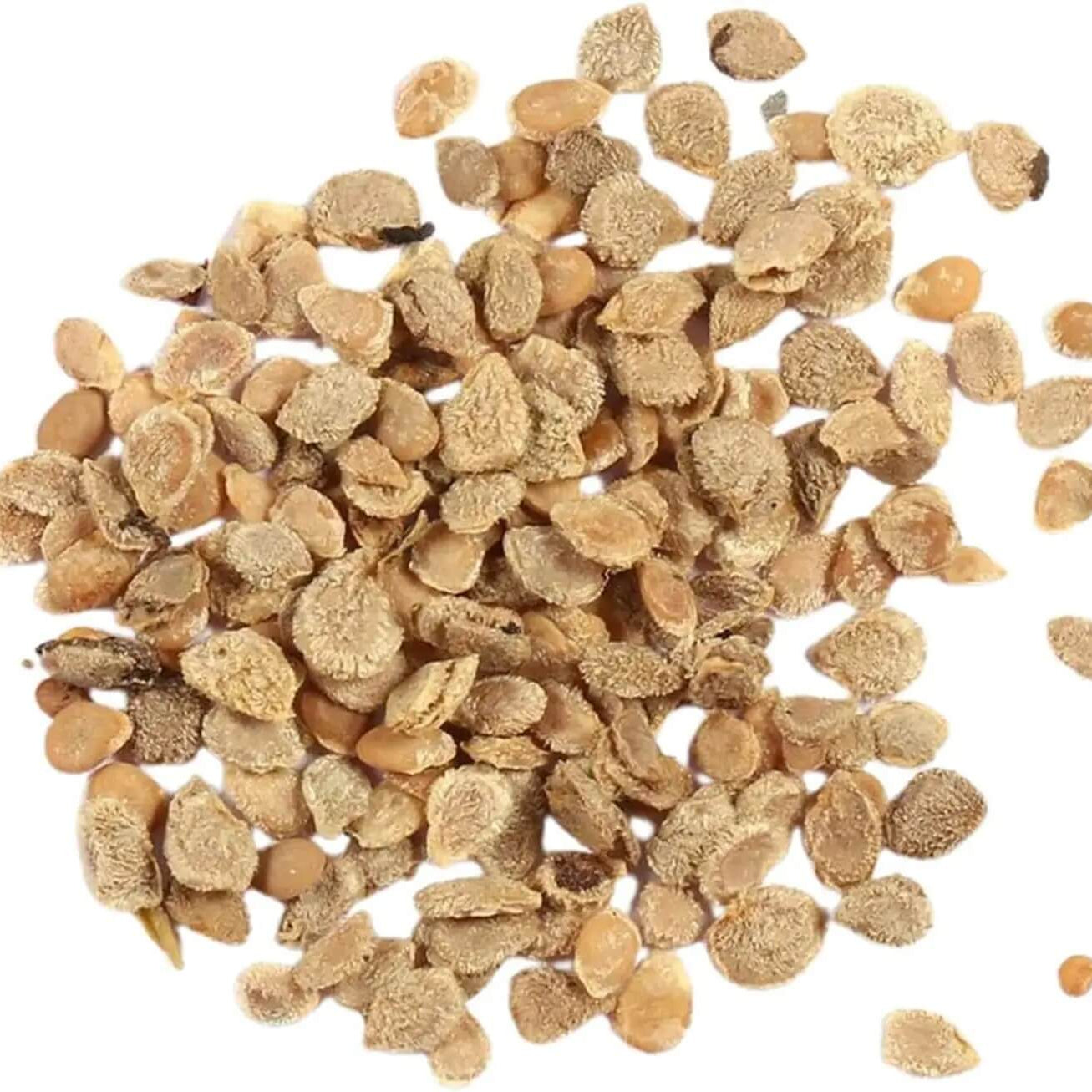 Yellow Tomato Seeds