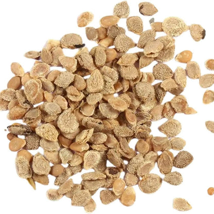Yellow Tomato Seeds