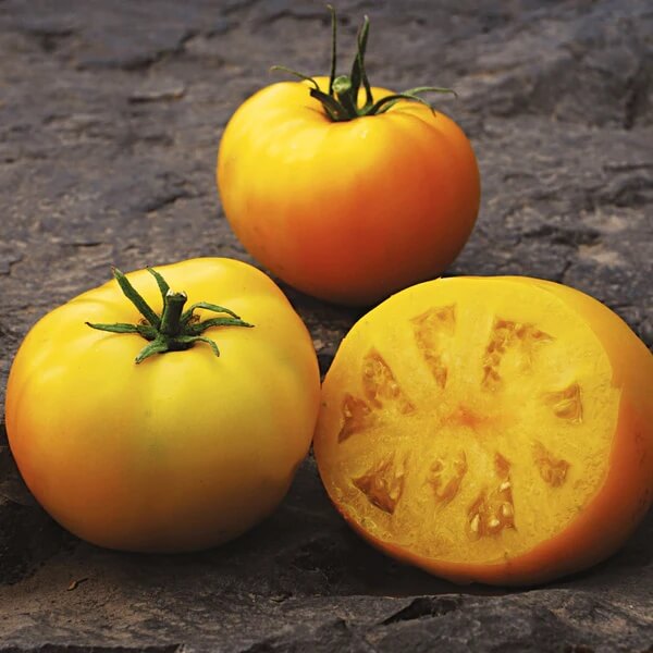 Yellow Tomato Seeds