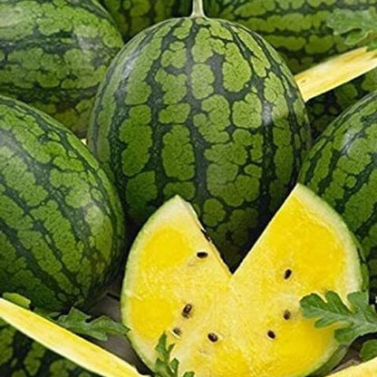 Yellow Watermelon Seeds
