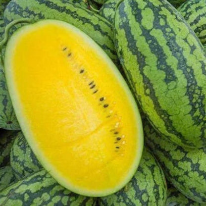 Yellow Watermelon Seeds