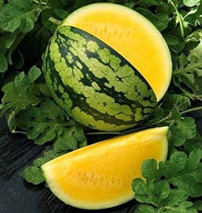 Yellow Watermelon Seeds
