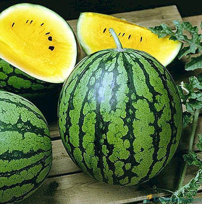 Yellow Watermelon Seeds