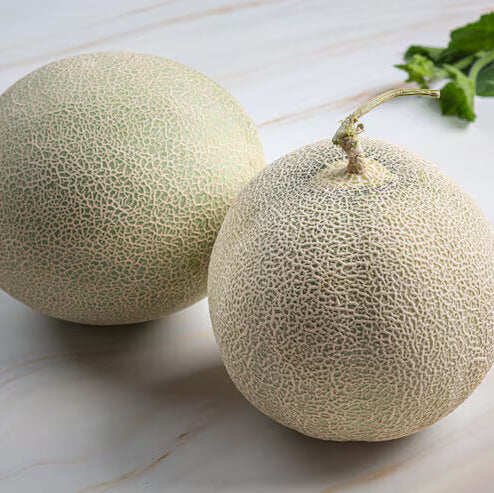 Yubari Melon Seeds