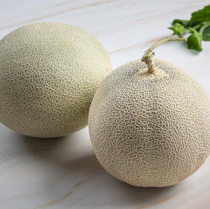 Yubari Melon Seeds