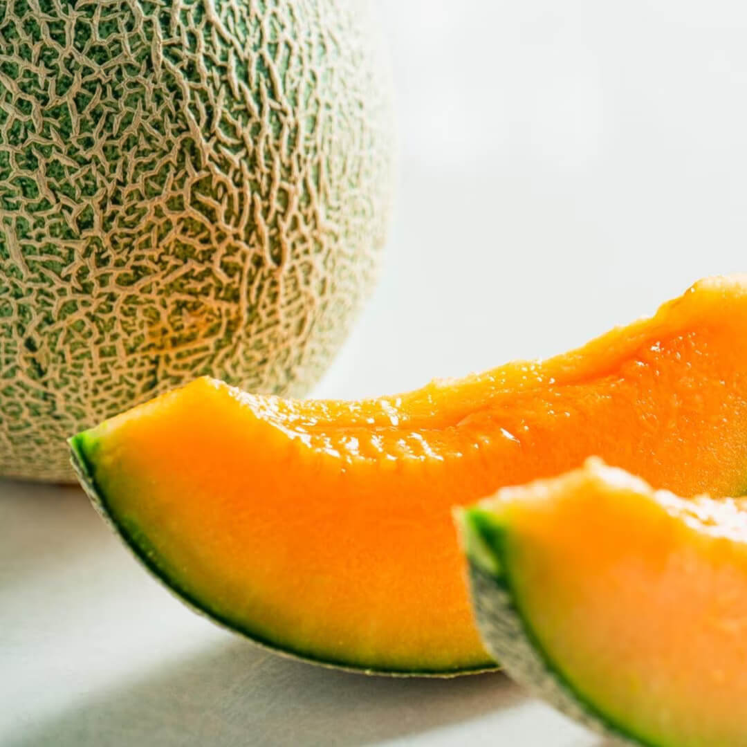 Yubari Melon Seeds