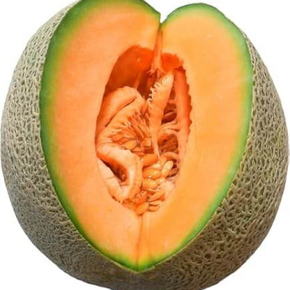 Yubari Melon Seeds
