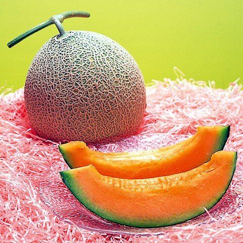 Yubari Melon Seeds