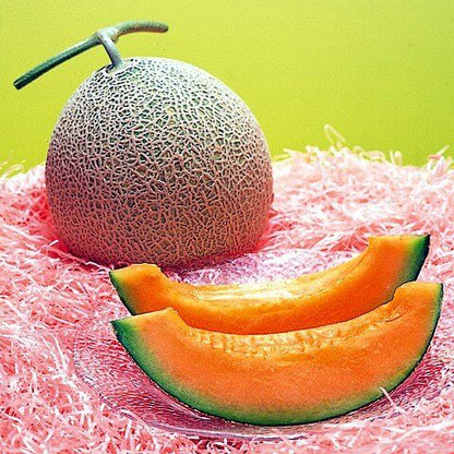 Yubari Melon Seeds