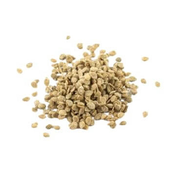 Zapotec Tomato Seeds