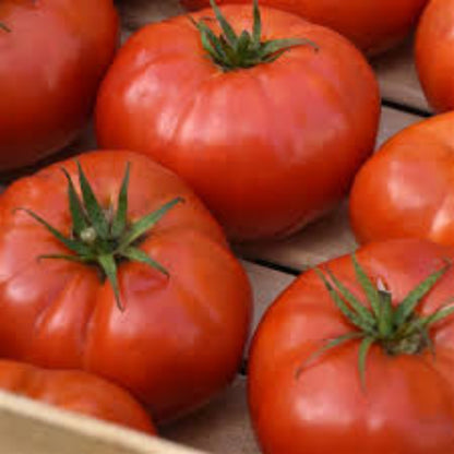 Delicious Tomato Seeds - Vegetable Plant