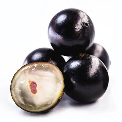 jabuticaba seeds