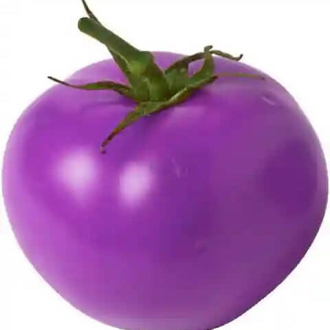 lavender tomato seeds