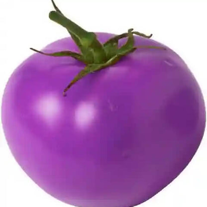 lavender tomato seeds