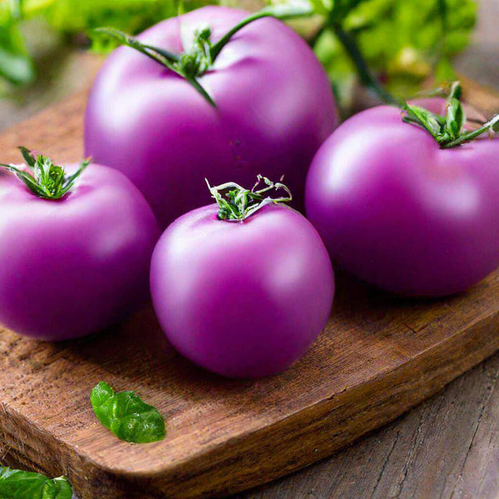 lavender tomato seeds