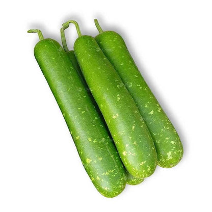 long bottle gourd seeds