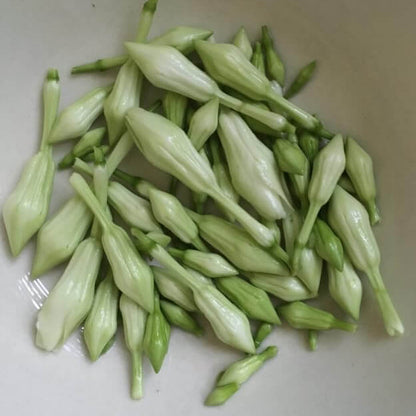 loroco Seeds