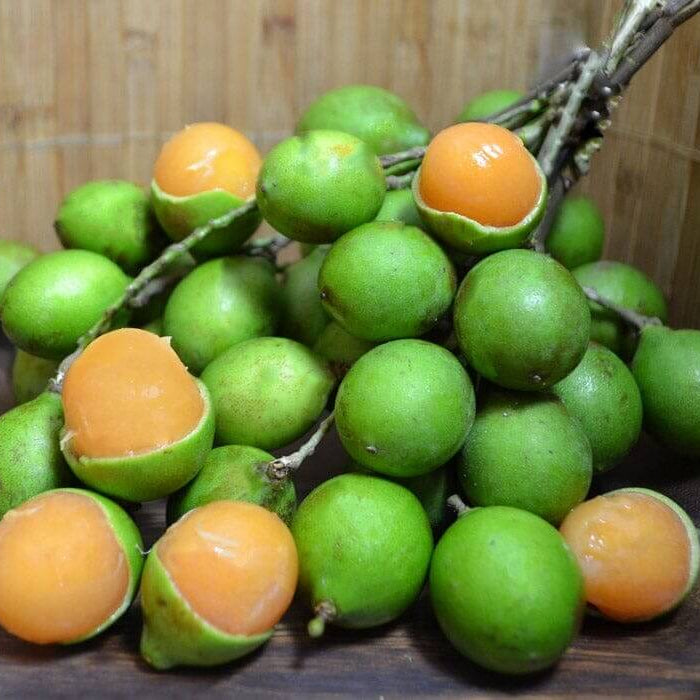 mamoncillo seeds