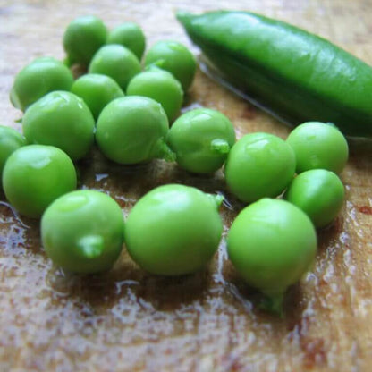 pea egg  seeds