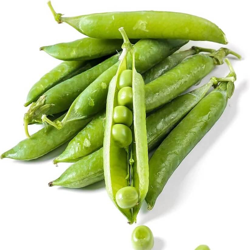 pea egg  seeds