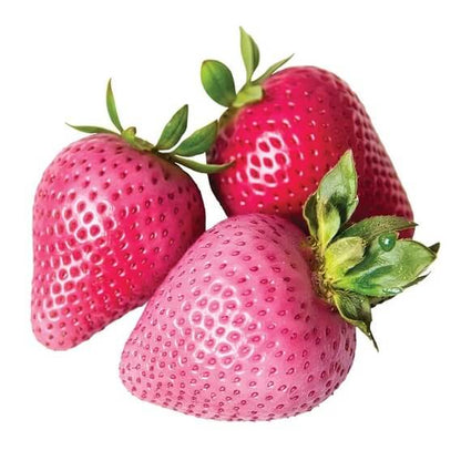 pink strawberry seeds 