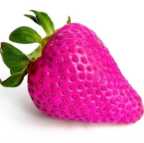 pink strawberry seeds 
