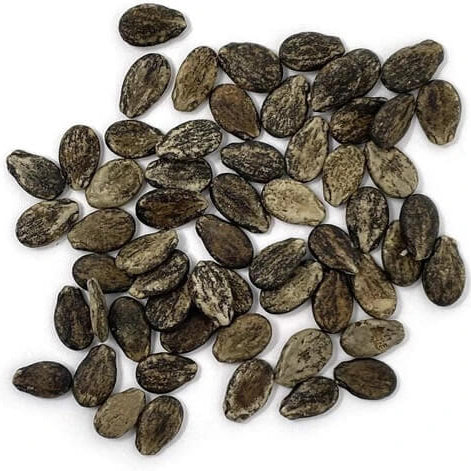 pink watermelon seeds