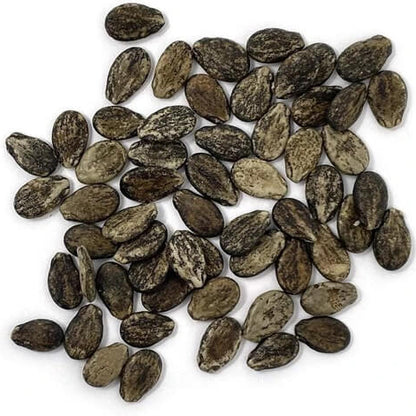 pink watermelon seeds