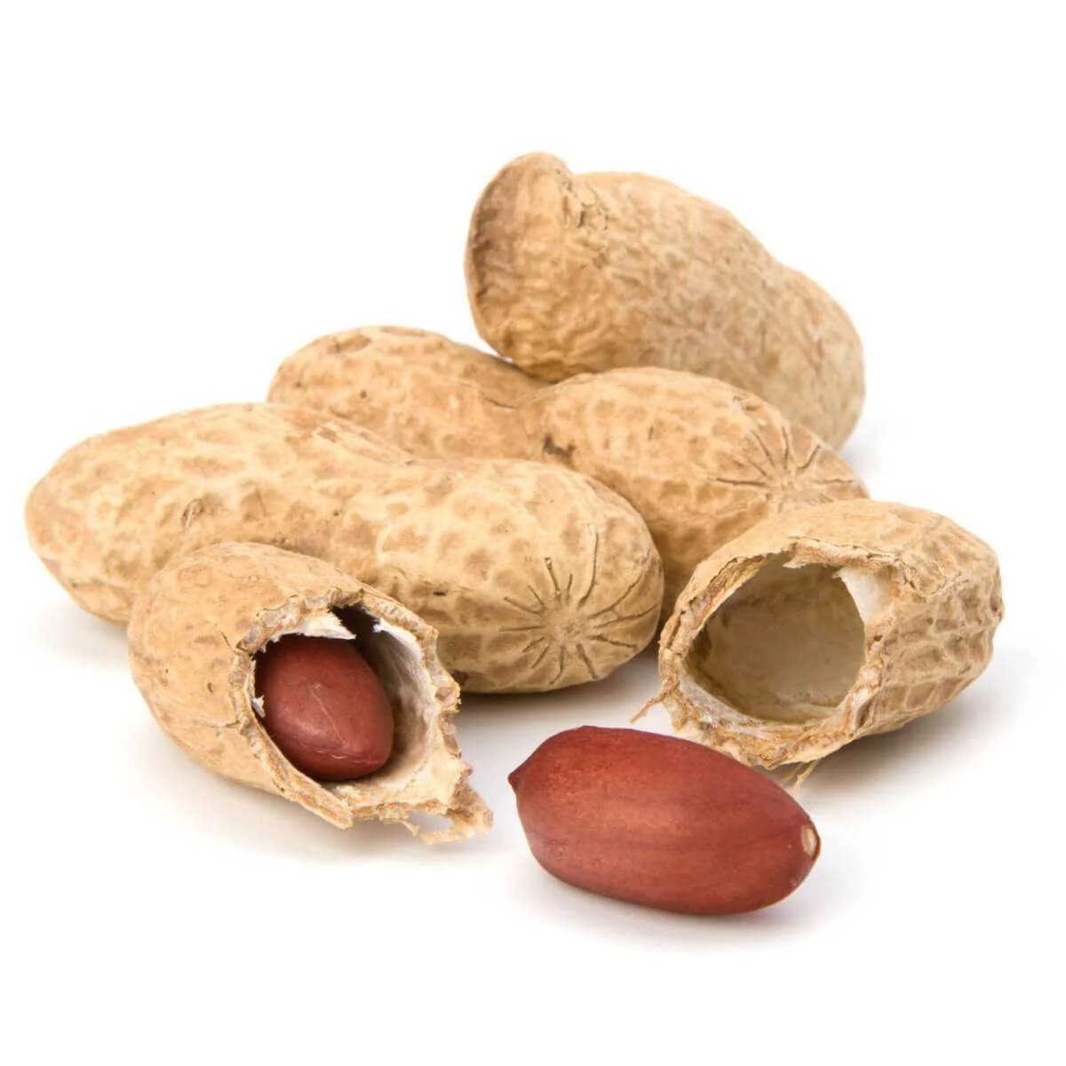spanish peanut seeds