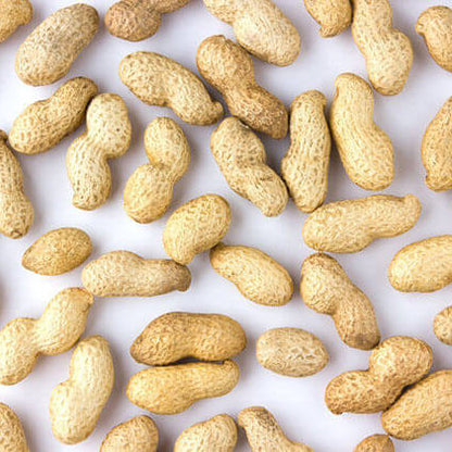 spanish peanut seeds