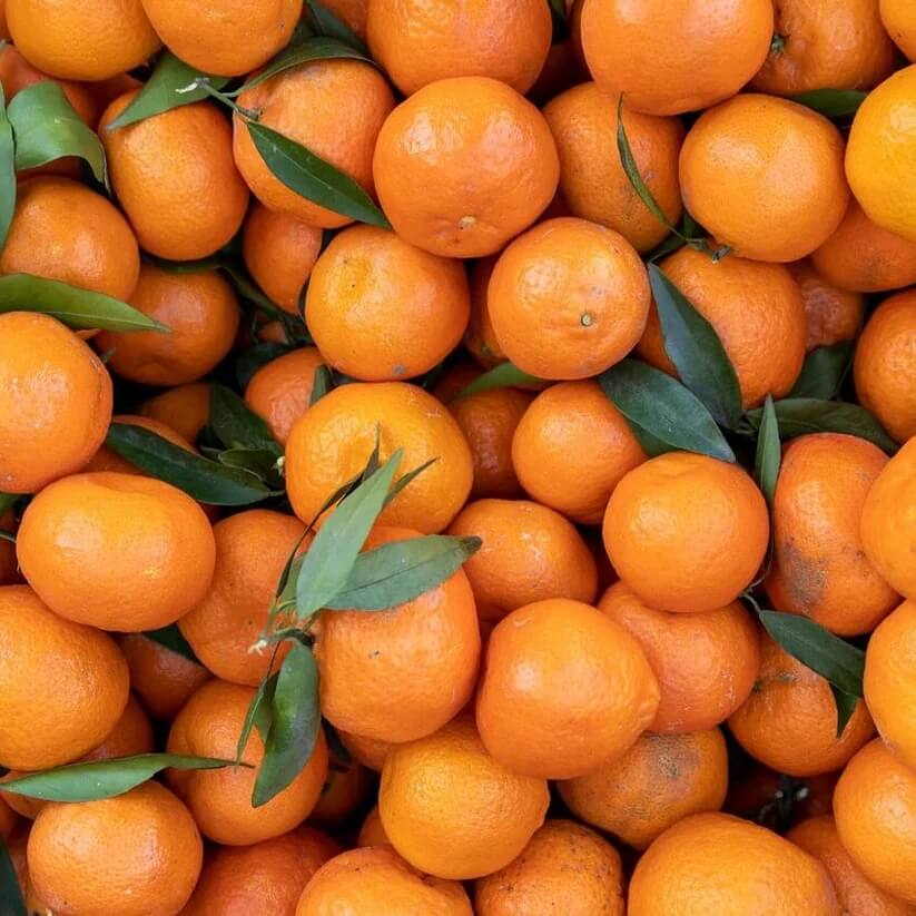 tangerine mandrin seeds