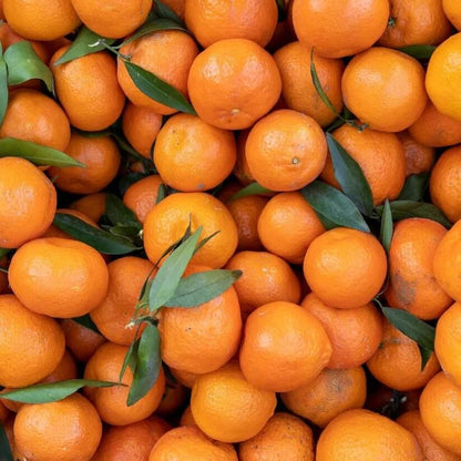 tangerine mandrin seeds